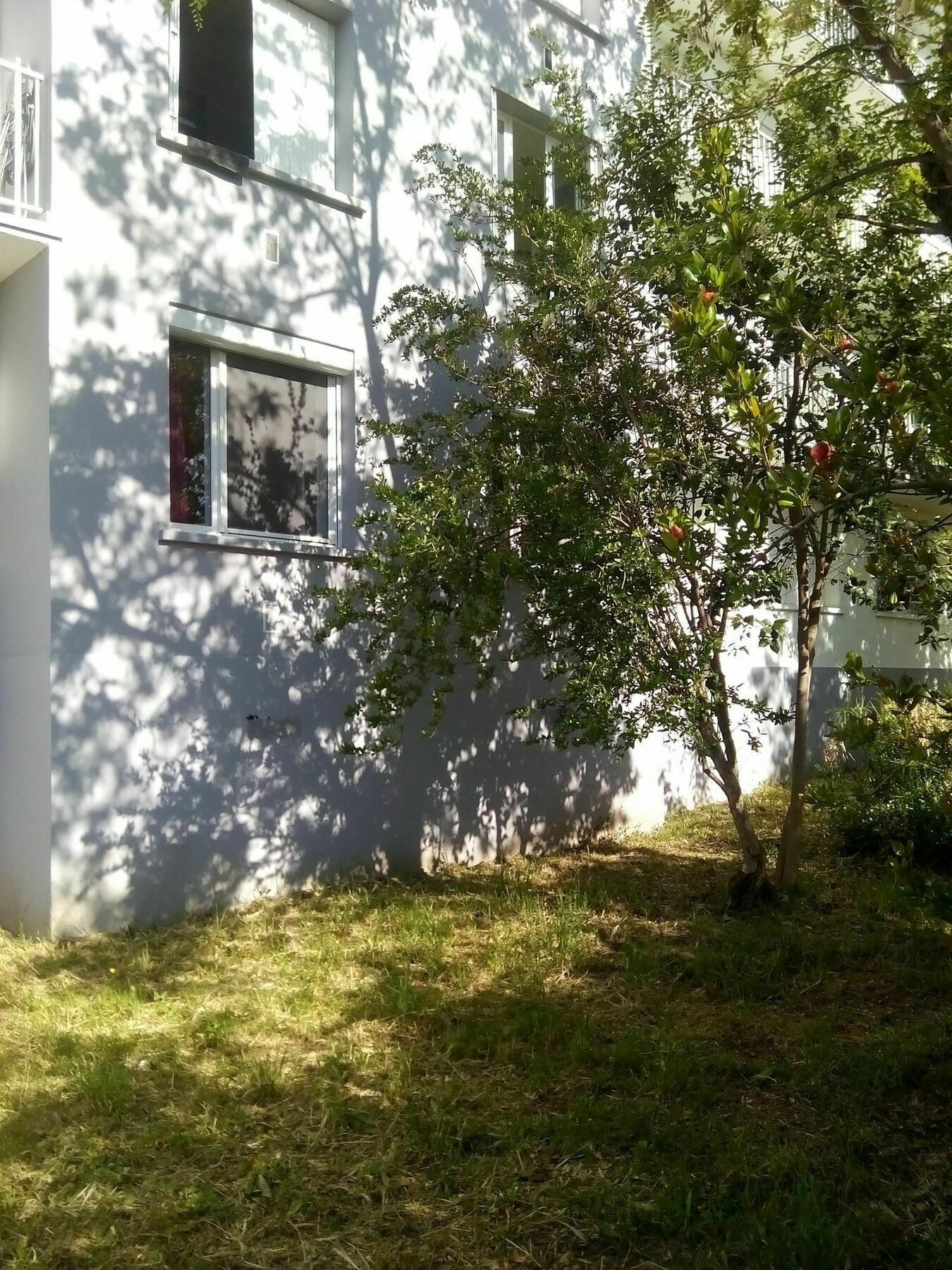 Grand Studio Proche Transport Montpellier Exterior foto